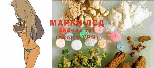 стаф Абаза
