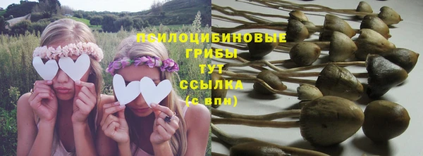 spice Абинск